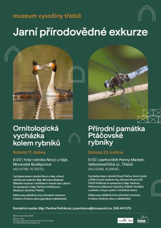 Přírodní památka Ptáčovské rybníky